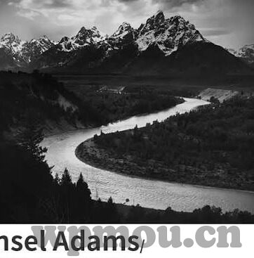 1000种死法第一季中文字幕-探索1000种死法第一季的独特魅力，中文字幕下的惊险世界