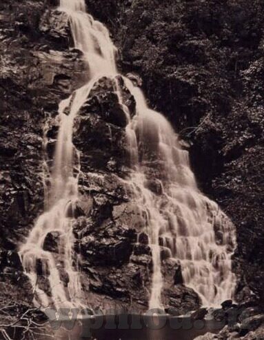 1906成人在线视频-1906成人在线视频，数字时代下的成人娱乐新趋势