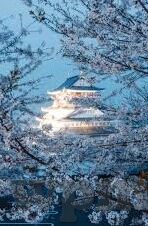 2021国产麻豆剧传媒仙踪林-2021年国产影视新篇章，仙踪林——麻豆剧传媒的奇幻之旅