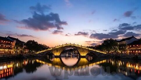 大象视频导航回家-奇迹之旅，大象的智慧与视频导航回家的故事