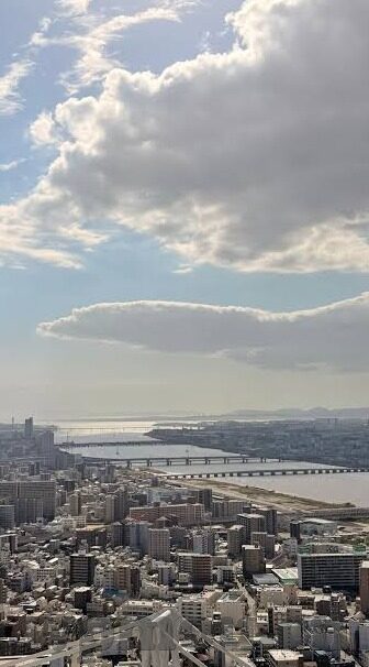 麻豆传媒下载-麻豆传媒，合法性争议与网络内容消费的反思