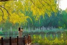 麻豆破解版视频-麻豆破解版视频的灰色地带与法律边界
