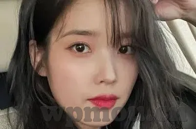 vlog糖心官网版app下-探秘Vlog糖心，一站式Vlog创作与分享的新时代