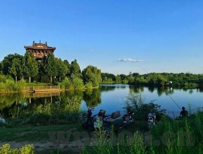 无码麻豆av在线-探索网络内容的多元性，新媒体时代的信息选择